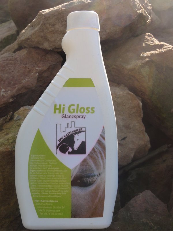 Hi Gloss Glanzspray - Pflegemittel